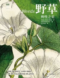 野草：野性之美（天际线丛书）(epub+azw3+mobi)